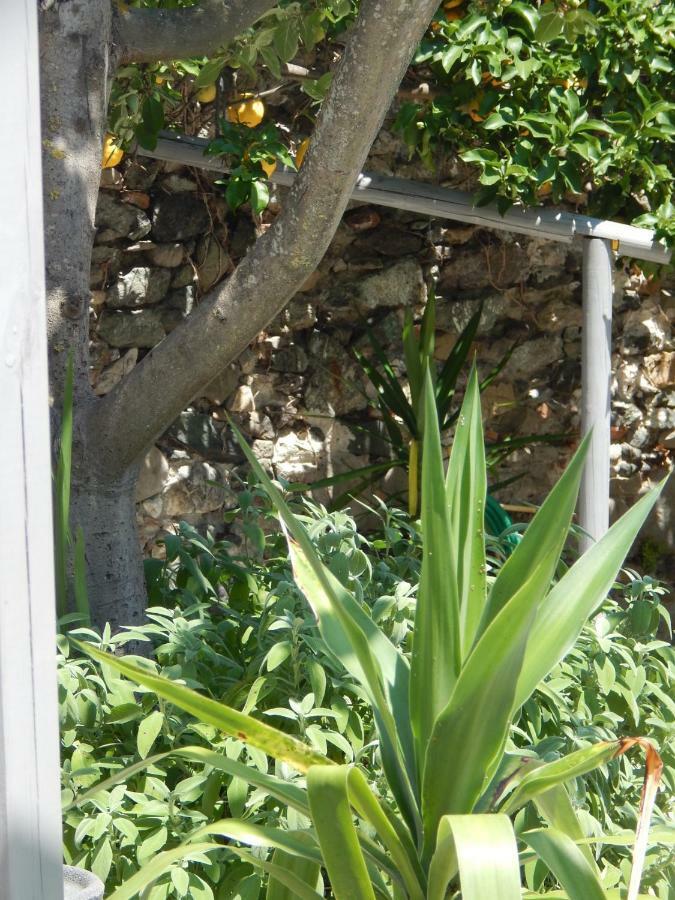 B&B Pie Del Castello Λεβάντο Εξωτερικό φωτογραφία
